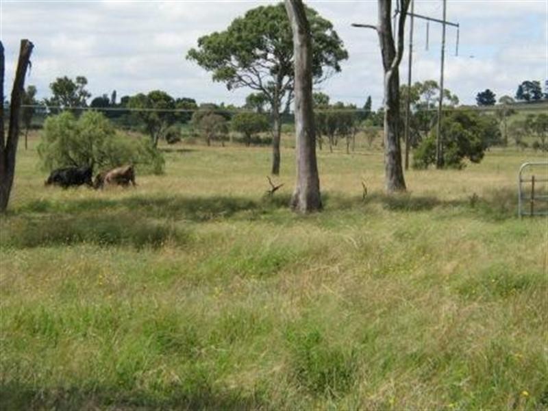 Armidale NSW 2350