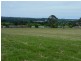 Armidale NSW 2350