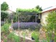 Armidale NSW 2350