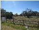 164 Bridge Street, Uralla NSW 2358