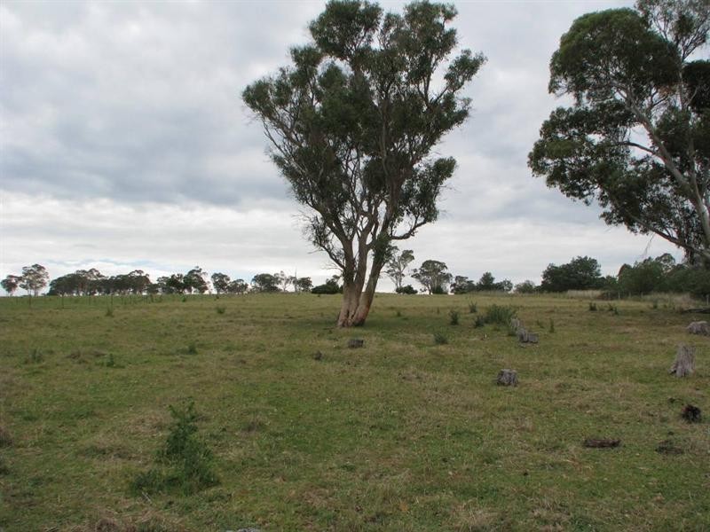 Lot 1 Cluny Road, Armidale NSW 2350