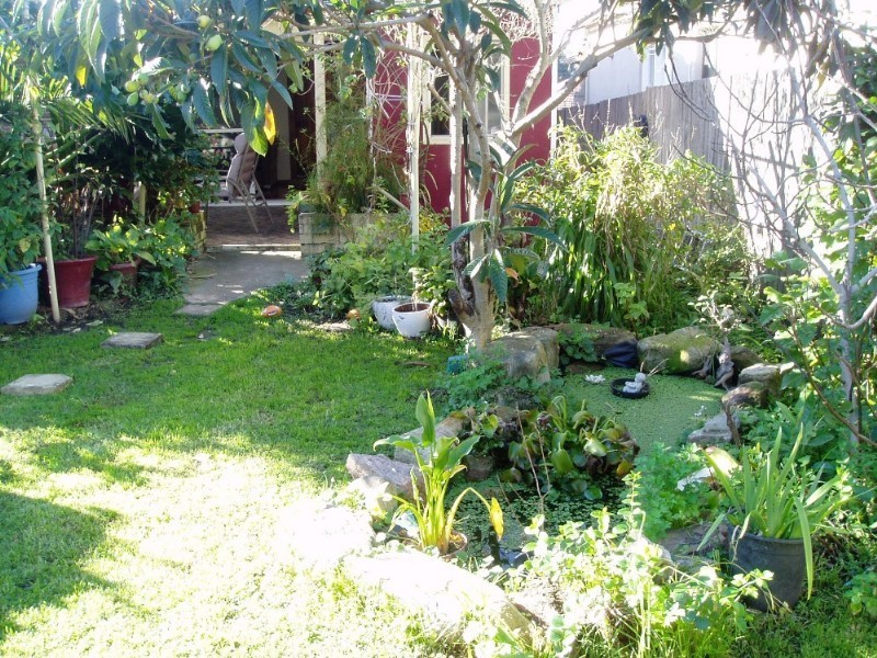 7 Pheasant Street, Canterbury NSW 2193