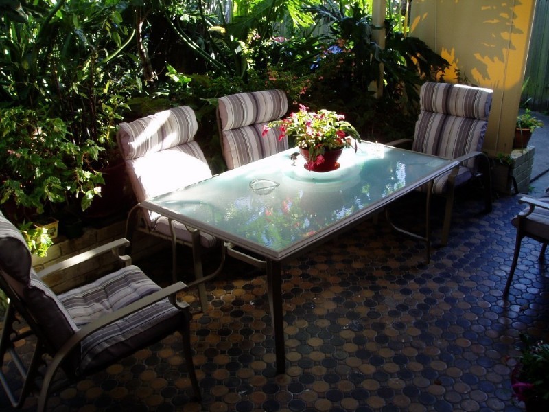 7 Pheasant Street, Canterbury NSW 2193