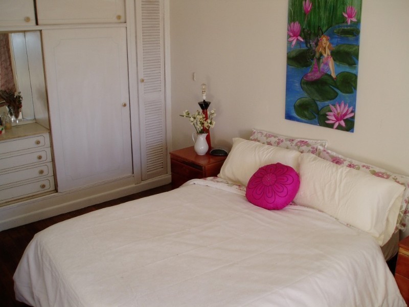 7 Pheasant Street, Canterbury NSW 2193