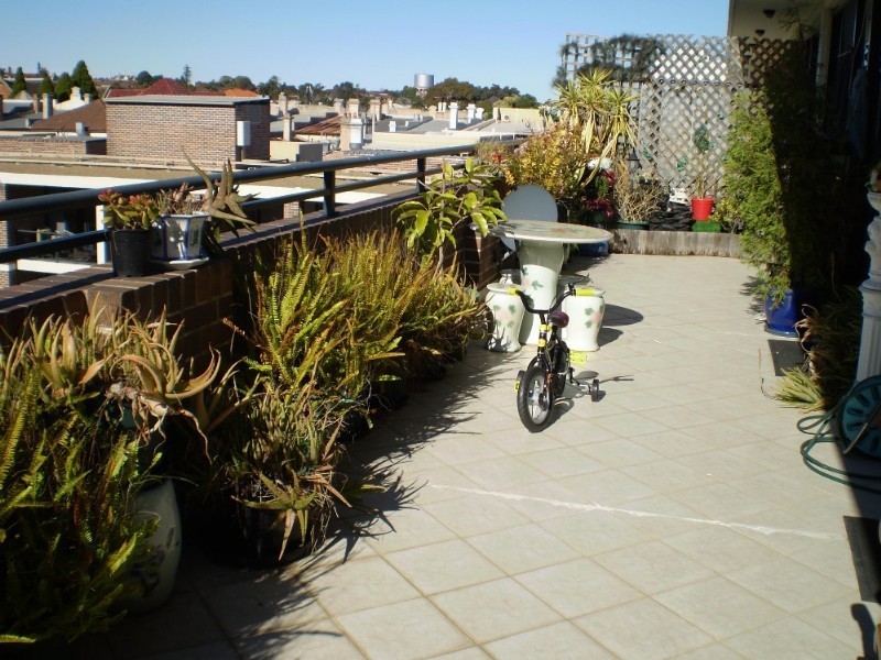 85/1 Brown Street, Ashfield NSW 2131