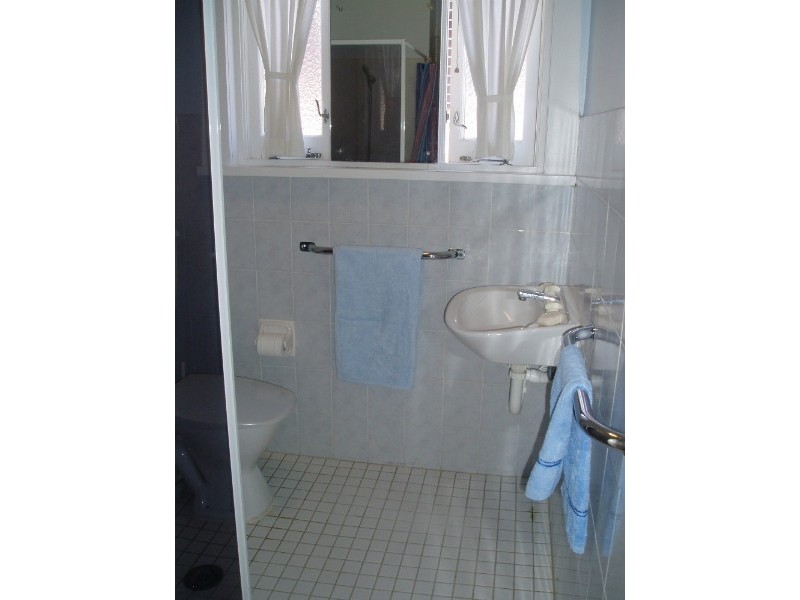 14 Hedger Avenue, Ashfield NSW 2131