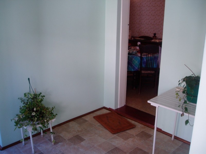 14 Hedger Avenue, Ashfield NSW 2131