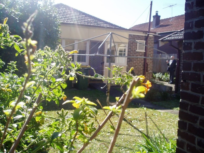 14 Hedger Avenue, Ashfield NSW 2131