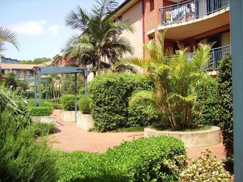 17/106-116 Elizabeth Street, Ashfield NSW 2131