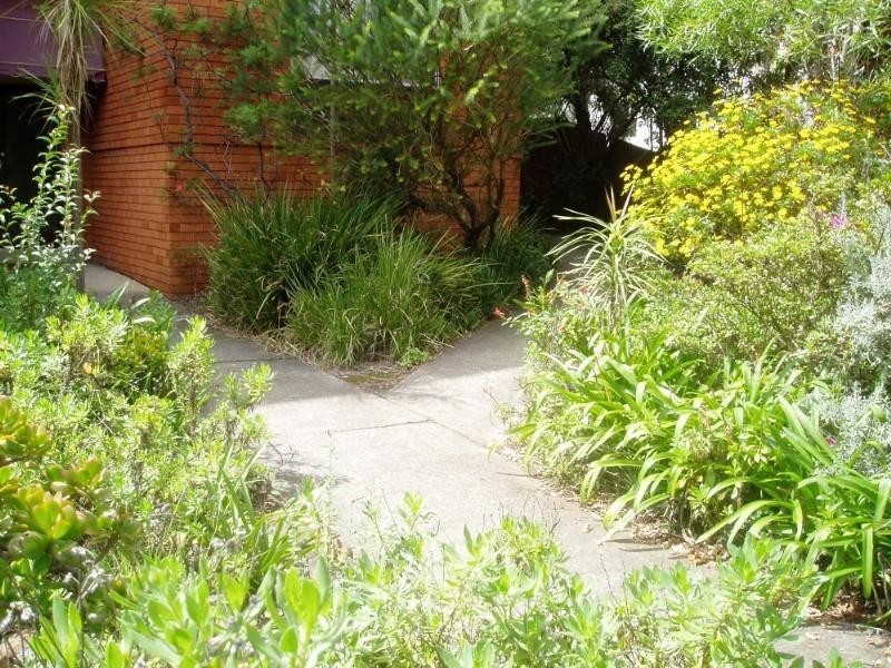 7/96 Victoria Street, Ashfield NSW 2131