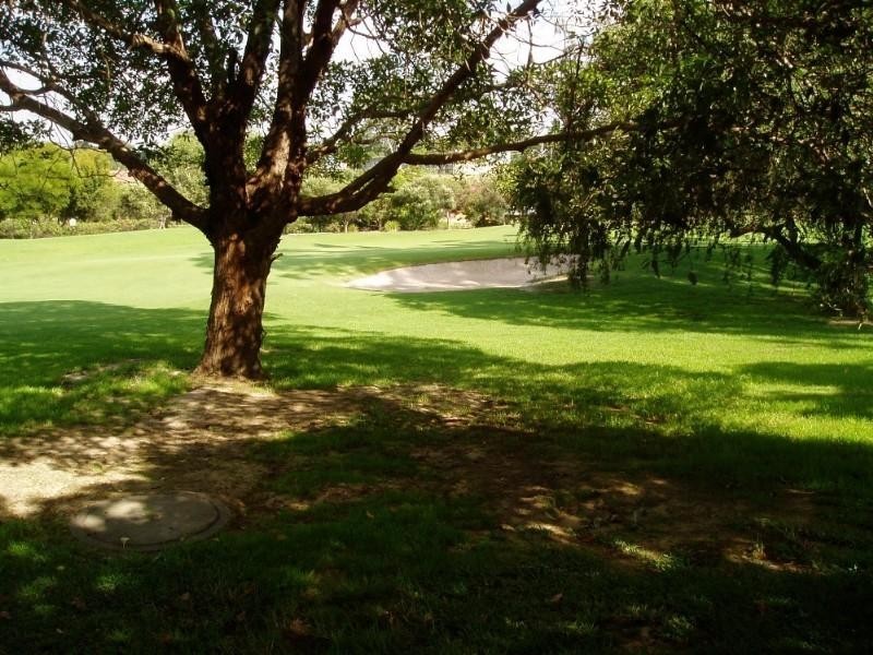 53 Hay Street, West Ryde NSW 2114