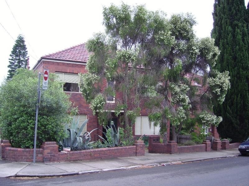 1/157 Norton Street, Ashfield NSW 2131