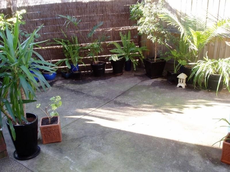 3/185 Frederick Street, Ashfield NSW 2131