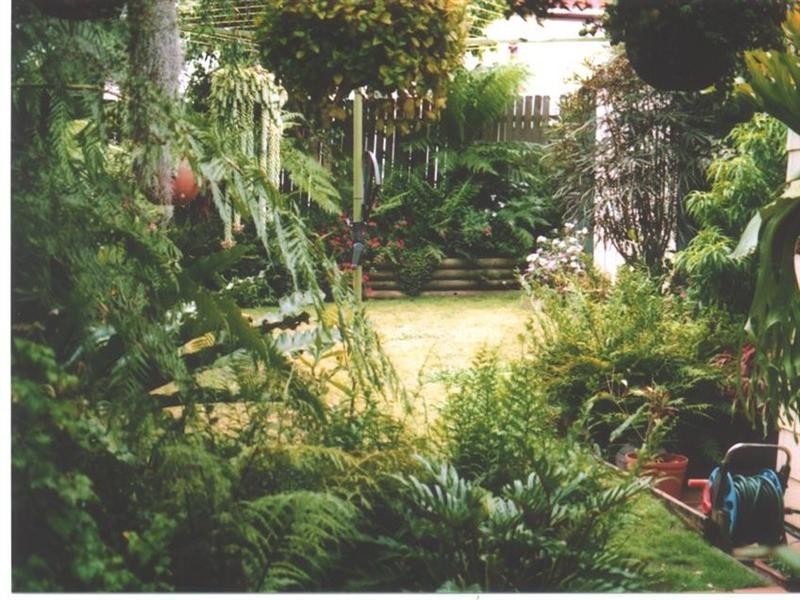 3 Arthur Street, Ashfield NSW 2131