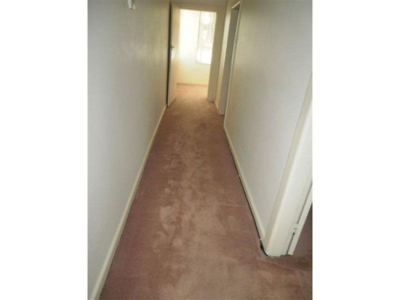 14 Second Street, Ashbury NSW 2193