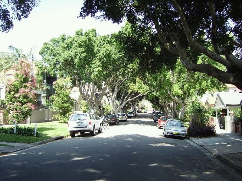 16 Figtree Avenue, Randwick NSW 2031