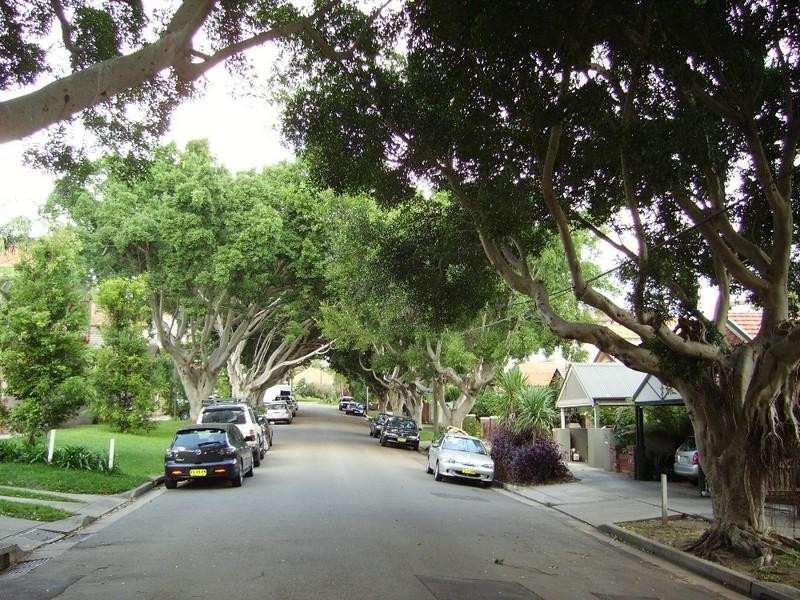 16 Figtree Avenue, Randwick NSW 2031