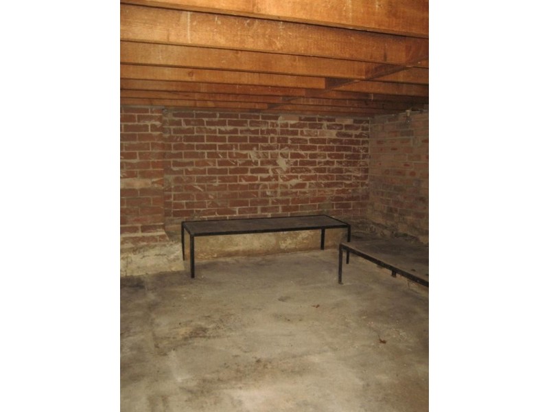 81 Sloane Street, Haberfield NSW 2045