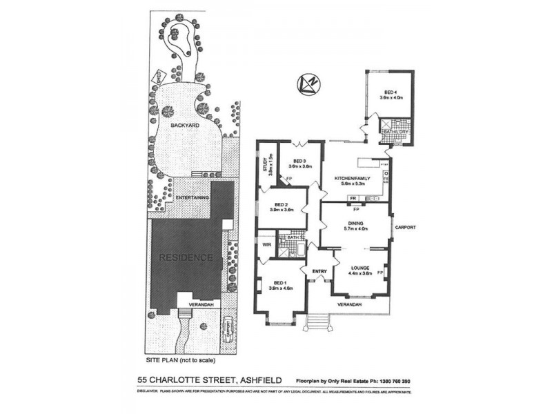 55 Charlotte Street, Ashfield NSW 2131