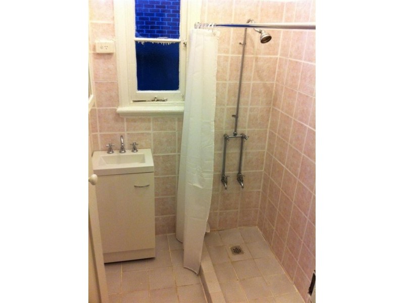 48 Croydon Road, Croydon NSW 2132