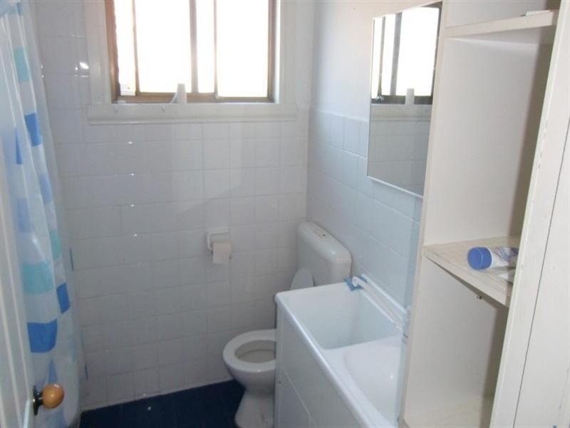 24 Hanks Street, Ashfield NSW 2131