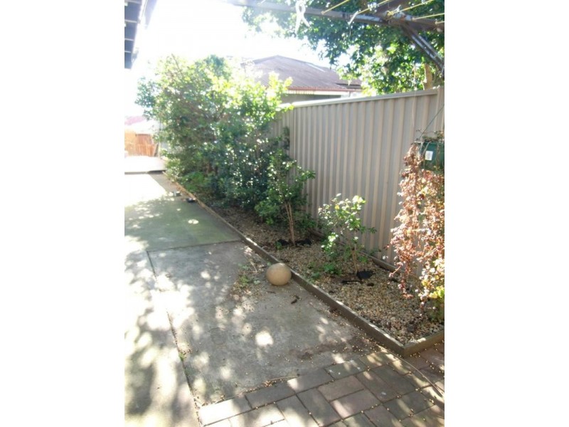 24 Hanks Street, Ashfield NSW 2131