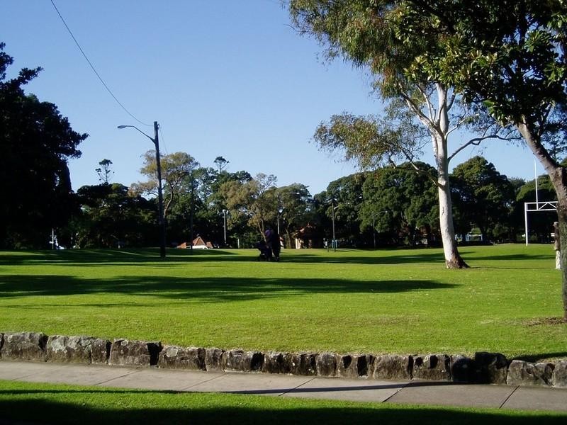 49 Orpington Street, Ashfield NSW 2131