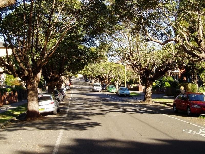 49 Orpington Street, Ashfield NSW 2131