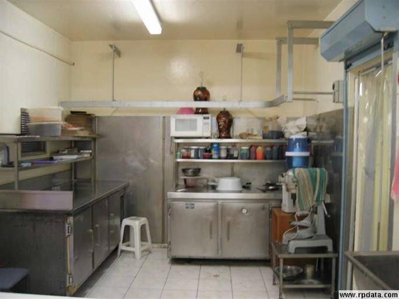 10 Carlton Crescent, Summer Hill NSW 2130