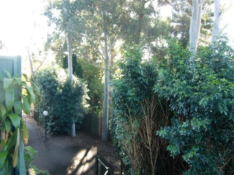 16/127 Canterbury Road, Canterbury NSW 2193