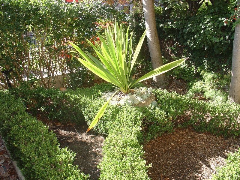 27 Paddington Street, Paddington NSW 2021