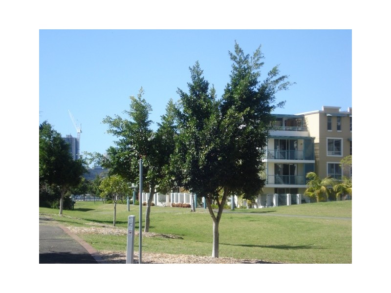 92/3 Hyam Street, Balmain NSW 2041