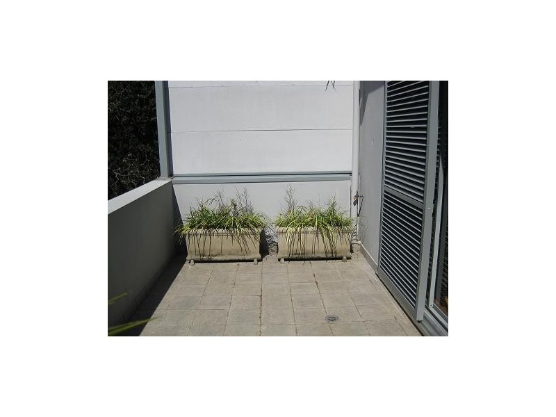 3/251 Darling Street, Balmain NSW 2041