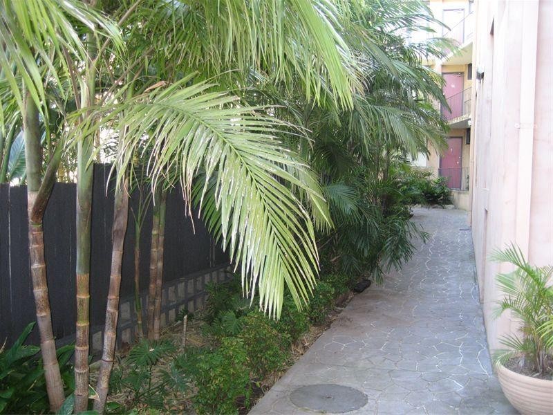 5-170 Nelson Street, Annandale NSW 2038