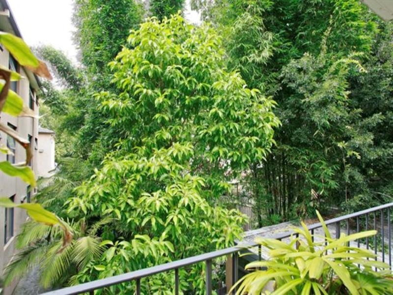 14/170 Nelson Street, Annandale NSW 2038