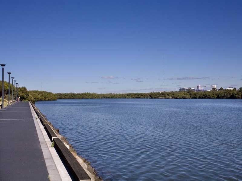 1 Lewis Avenue, Rhodes NSW 2138