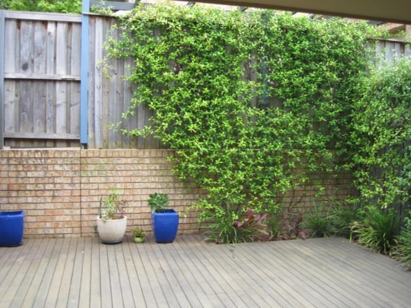 2/40 Alfred Street, Rozelle NSW 2039