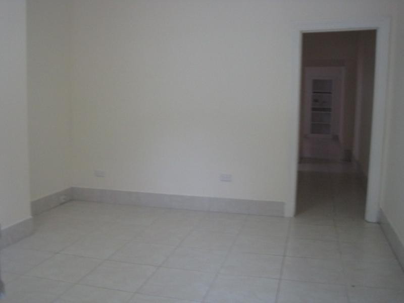 17 Roseberry Street, Balmain NSW 2041