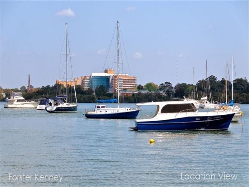 9 Wade Street, Putney NSW 2112