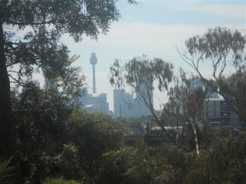 36/29-31 Johnston, Annandale NSW 2038