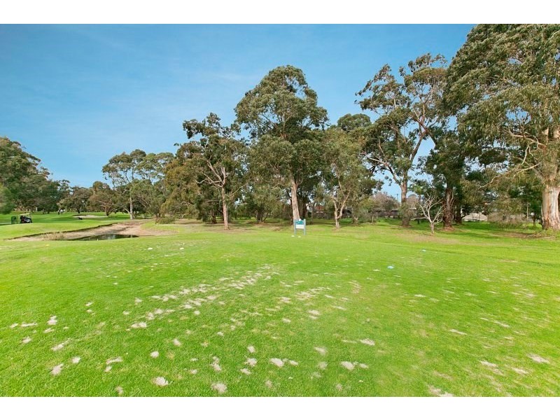 17 Harley Street, Dingley Village VIC 3172