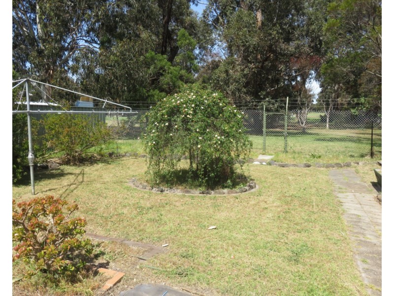 17 Harley Street, Dingley Village VIC 3172