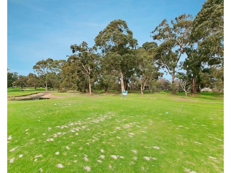 17 Harley Street, Dingley Village VIC 3172