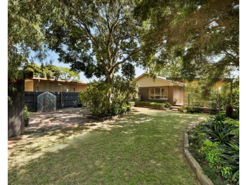 8 Rhoda Street, Dingley Village VIC 3172