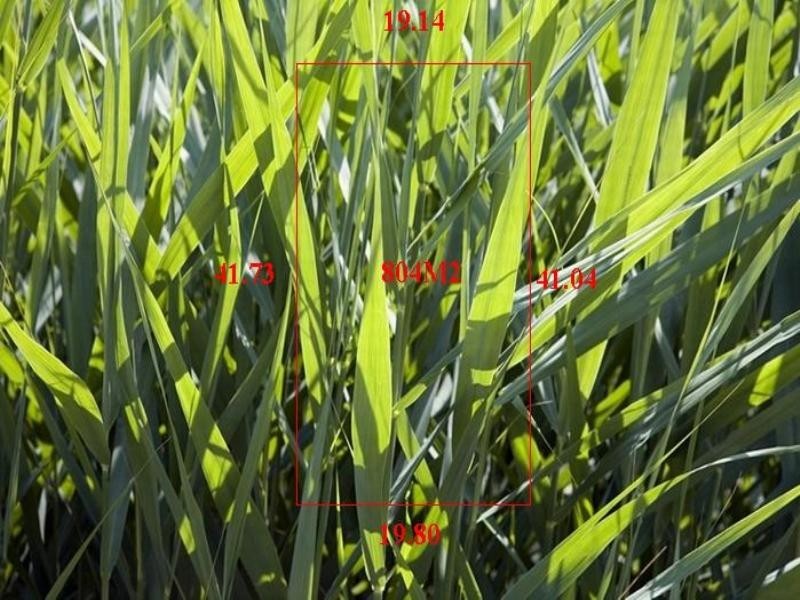 Lot 25 Macquarie Circuit, Waterways VIC 3195