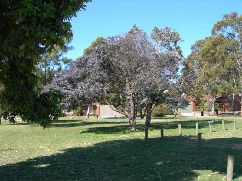 Dingley Village VIC 3172