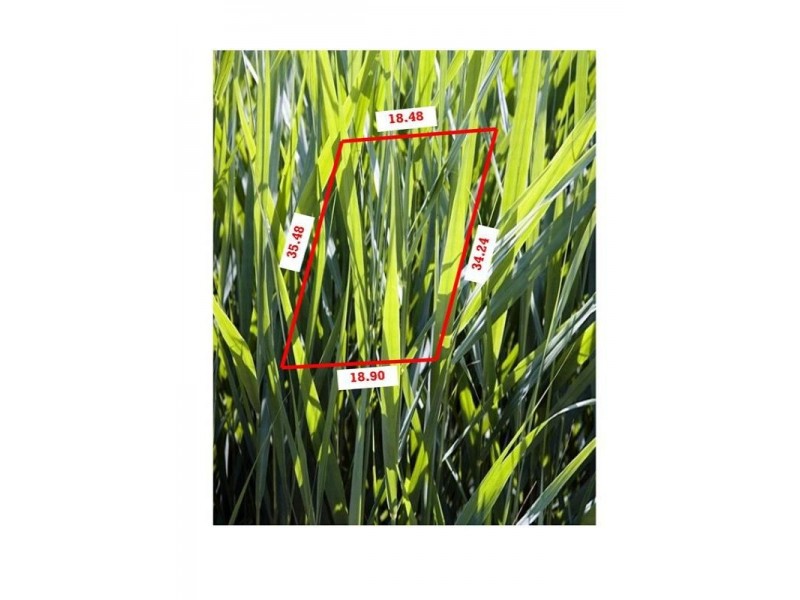 Lot 562 Waterside Drive, Waterways VIC 3195