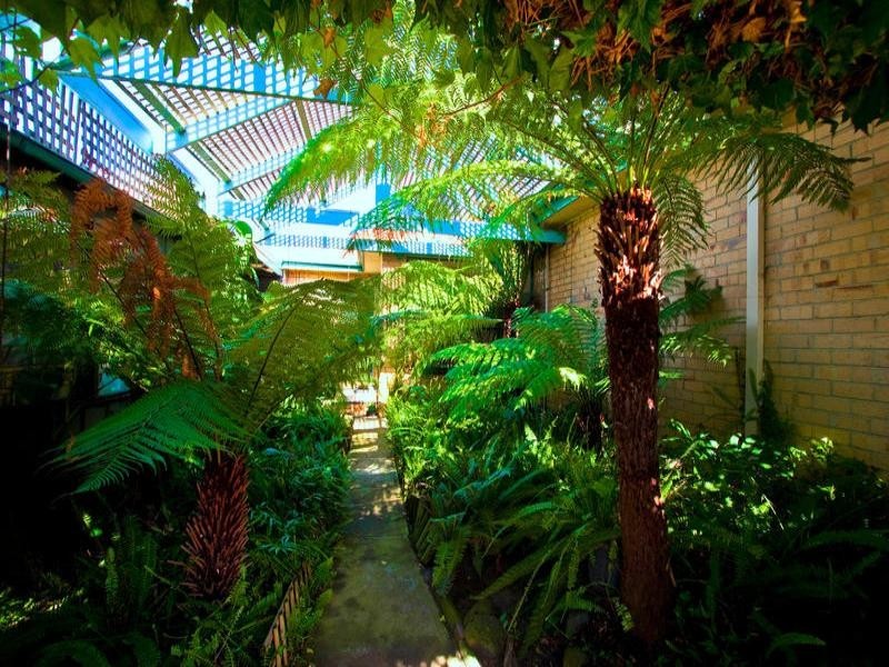 87 Lower Dandenong Road, Mentone VIC 3194