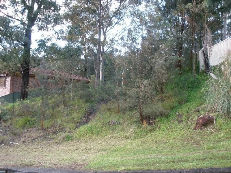 23 Hasluck Drive, Watanobbi NSW 2259