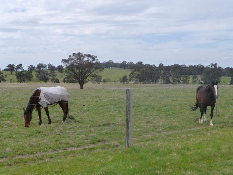 Mount Rankin NSW 2795